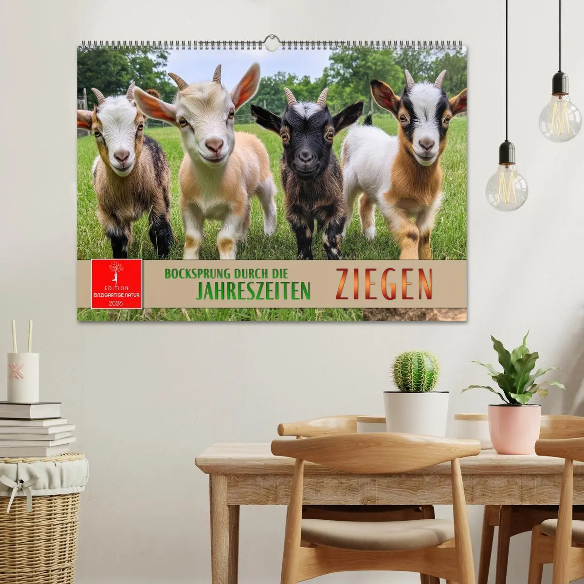 Bild: 9783457304112 | Ziegen - Bocksprung durch das Jahr (Wandkalender 2026 DIN A2 quer),...