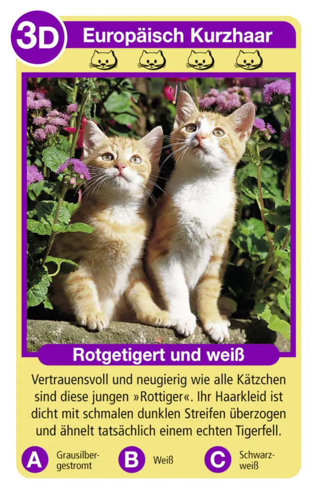 Bild: 4005556204212 | Tierquartett Katzen - Kartenspiel ab 4 Jahre | Spiel | Spiel | 20421