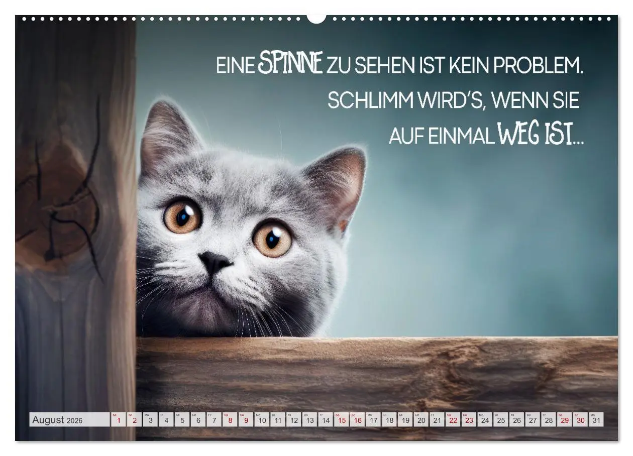 Bild: 9783457464212 | KATZEN-IRONIE Lach mal wieder (hochwertiger Premium Wandkalender...