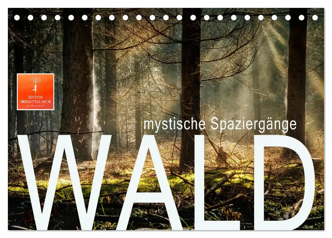 Cover: 9783457914212 | Wald - mystische Spaziergänge (Tischkalender 2026 DIN A5 quer),...