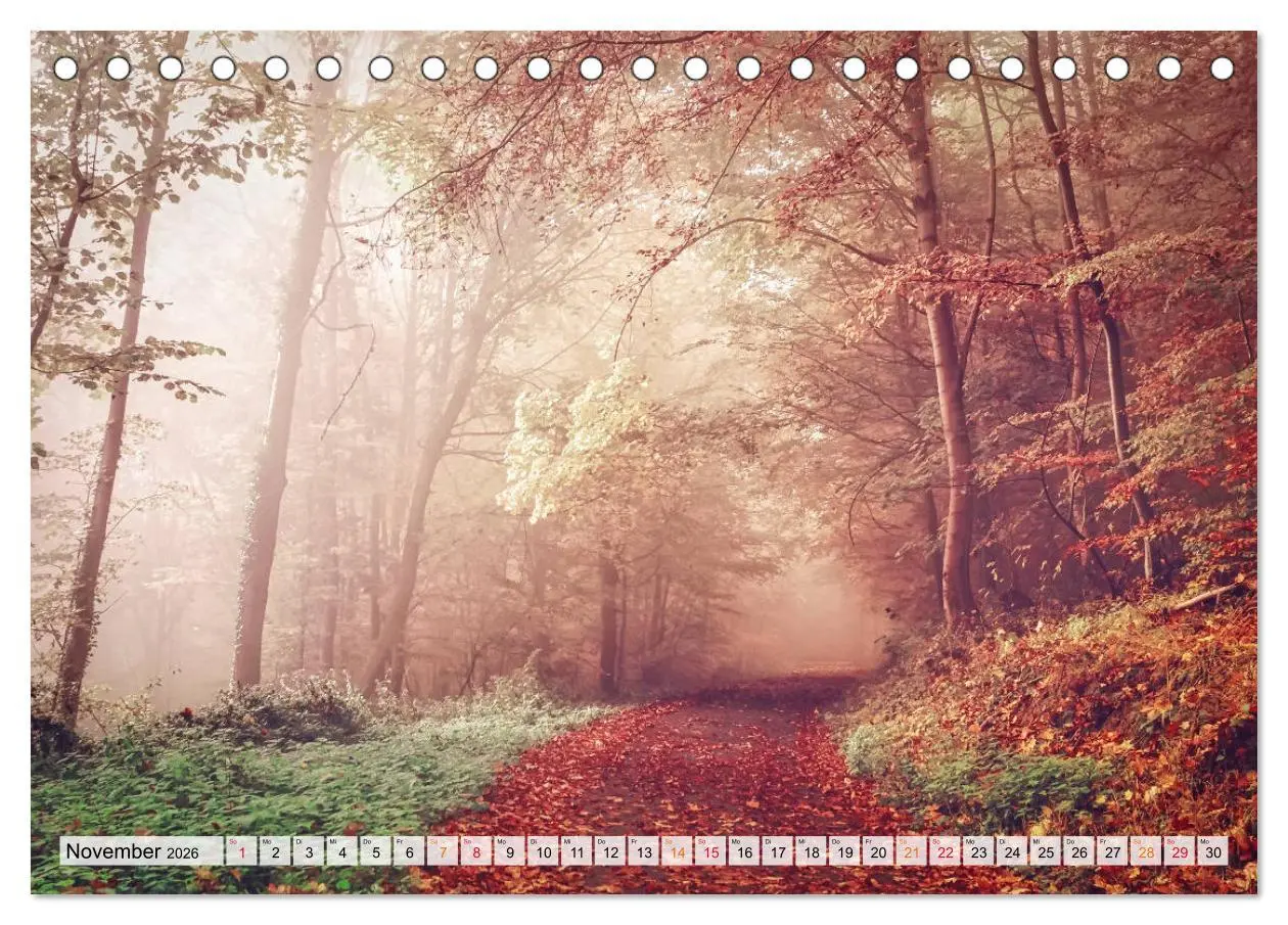 Bild: 9783457914212 | Wald - mystische Spaziergänge (Tischkalender 2026 DIN A5 quer),...