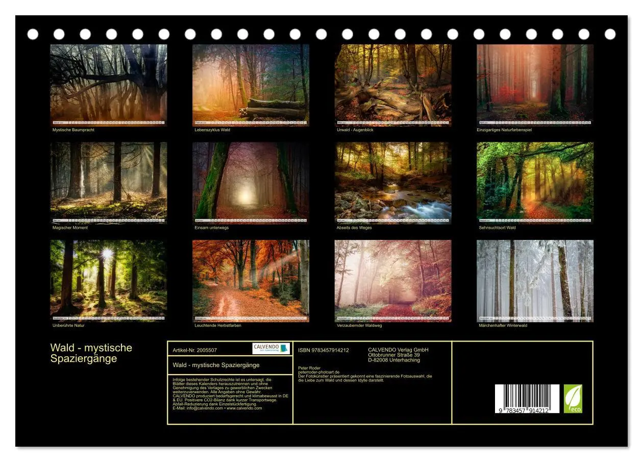 Bild: 9783457914212 | Wald - mystische Spaziergänge (Tischkalender 2026 DIN A5 quer),...