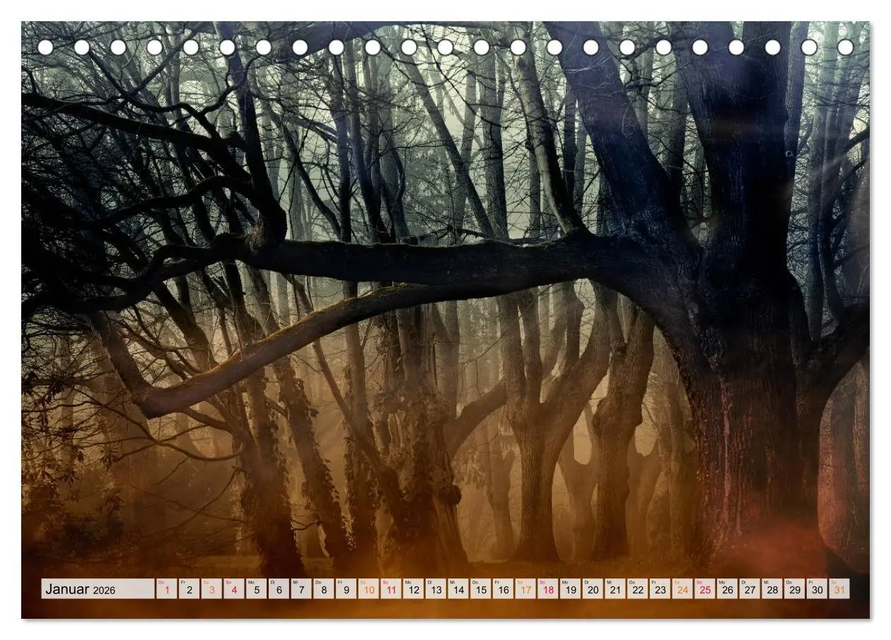 Bild: 9783457914212 | Wald - mystische Spaziergänge (Tischkalender 2026 DIN A5 quer),...