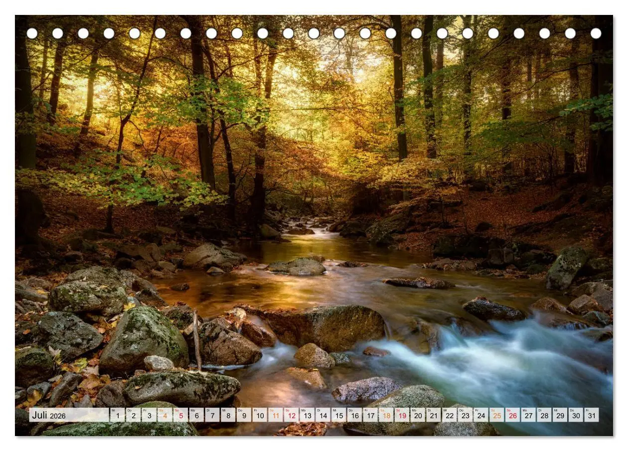Bild: 9783457914212 | Wald - mystische Spaziergänge (Tischkalender 2026 DIN A5 quer),...