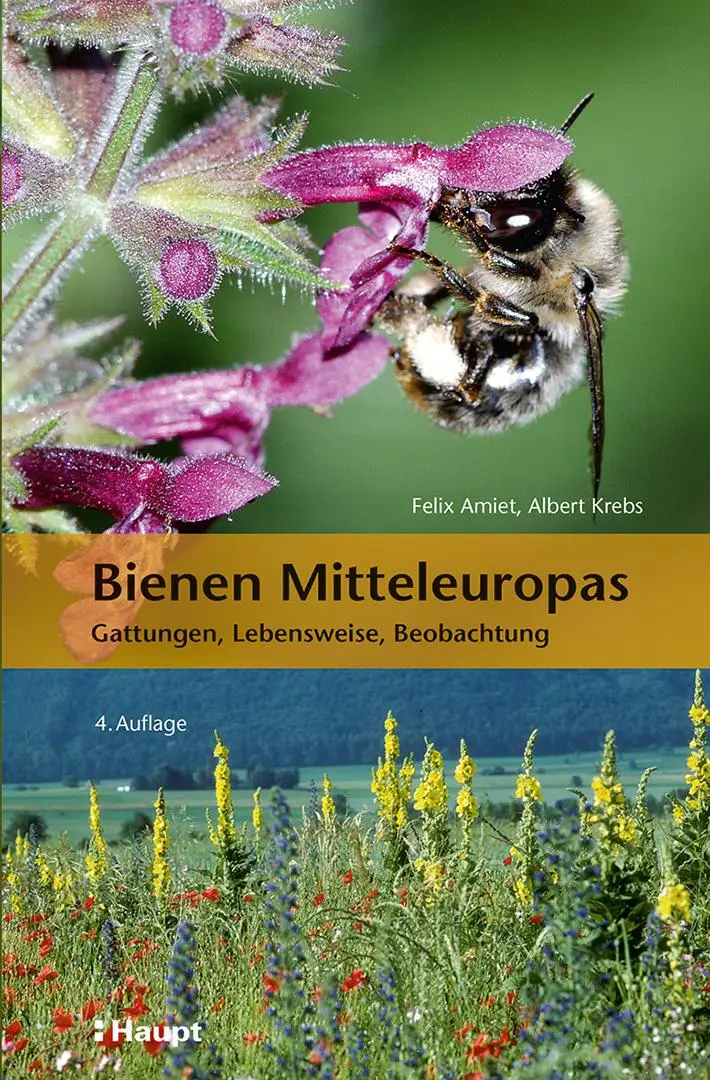 Cover: 9783258084312 | Bienen Mitteleuropas | Gattungen, Lebensweise, Beobachtung | Buch