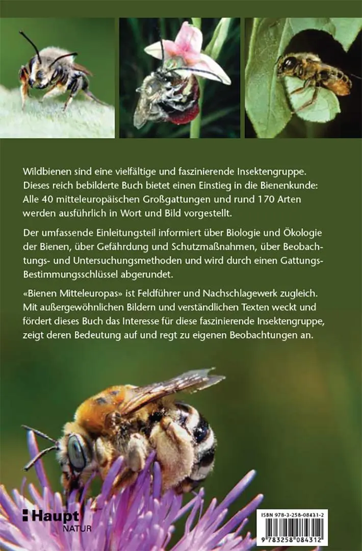 Rückseite: 9783258084312 | Bienen Mitteleuropas | Gattungen, Lebensweise, Beobachtung | Buch