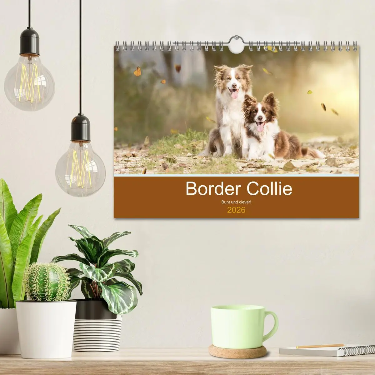 Bild: 9783457764312 | Border Collie - Bunt und clever! (Wandkalender 2026 DIN A4 quer),...