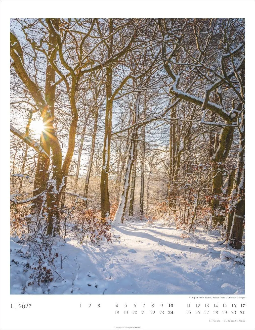 Bild: 9783839904312 | Heimische Wälder Kalender 2027 | Kalender | 14 S. | Deutsch | 2027