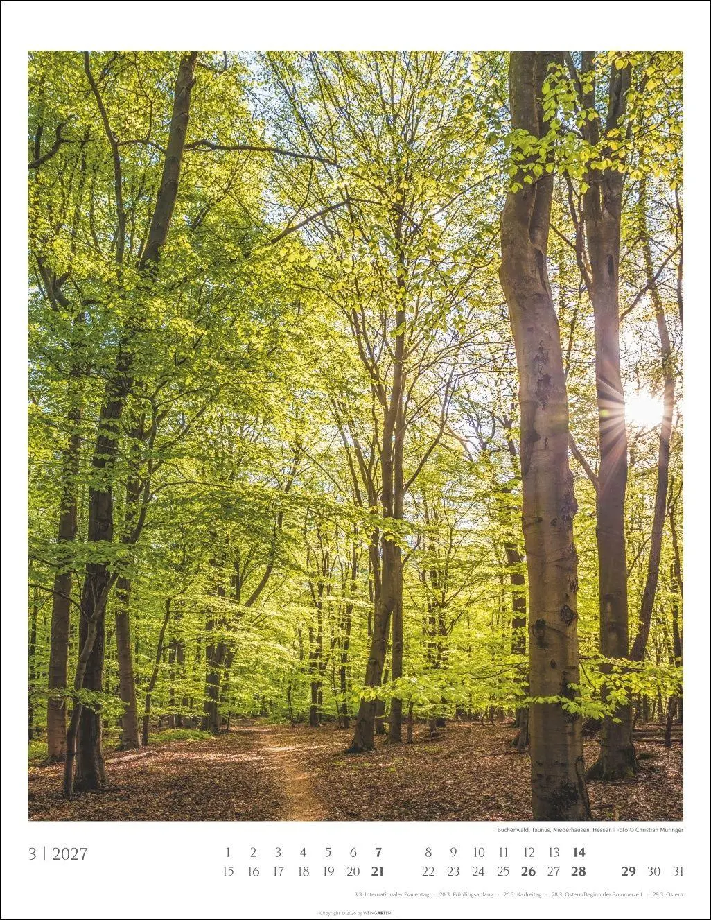 Bild: 9783839904312 | Heimische Wälder Kalender 2027 | Kalender | 14 S. | Deutsch | 2027
