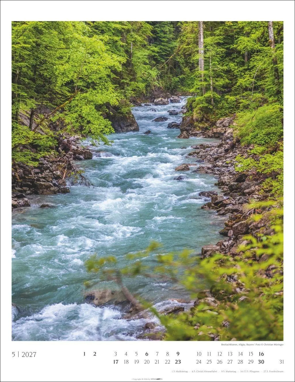 Bild: 9783839904312 | Heimische Wälder Kalender 2027 | Kalender | 14 S. | Deutsch | 2027