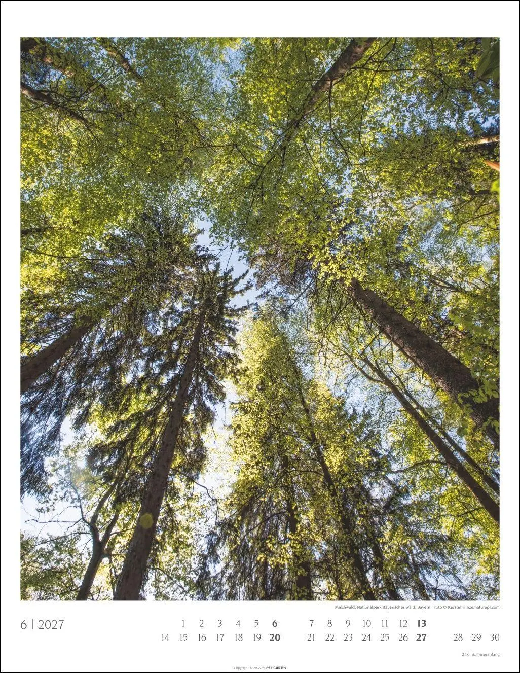 Bild: 9783839904312 | Heimische Wälder Kalender 2027 | Kalender | 14 S. | Deutsch | 2027