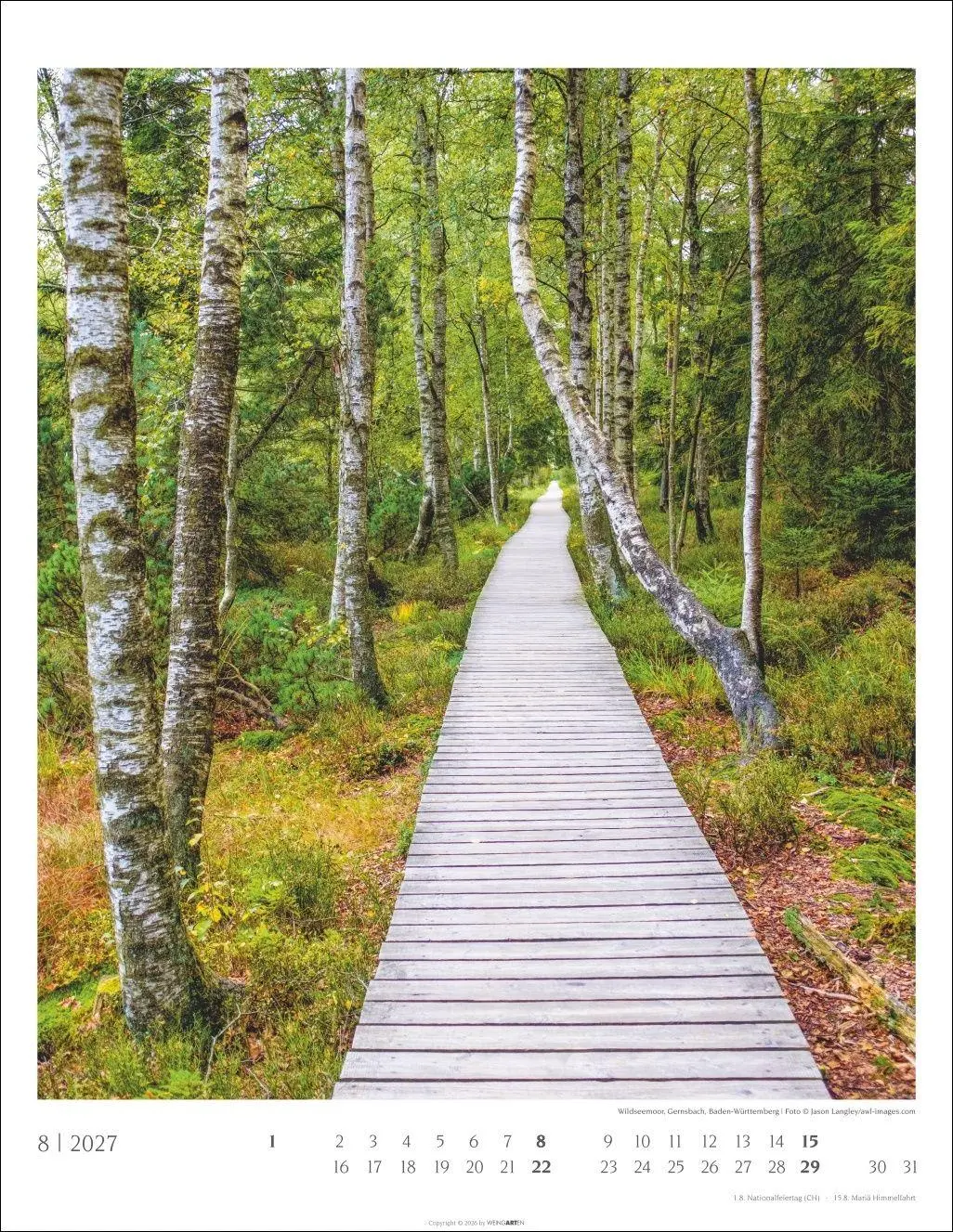 Bild: 9783839904312 | Heimische Wälder Kalender 2027 | Kalender | 14 S. | Deutsch | 2027