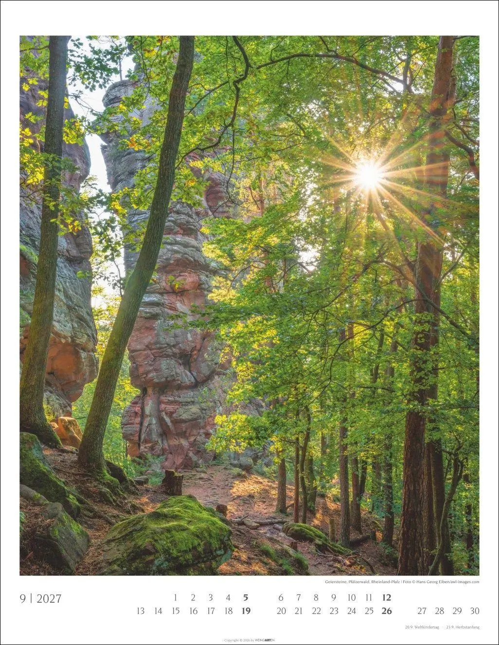 Bild: 9783839904312 | Heimische Wälder Kalender 2027 | Kalender | 14 S. | Deutsch | 2027