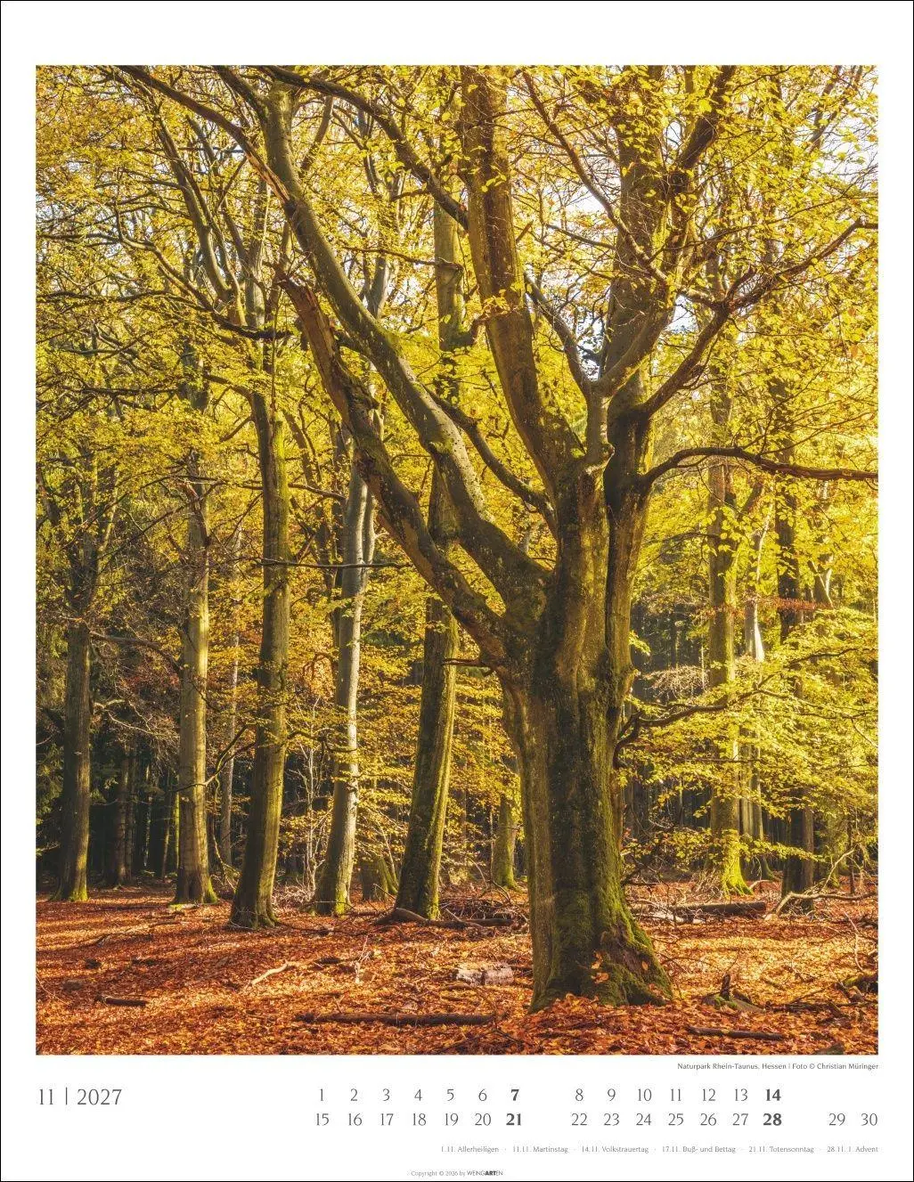 Bild: 9783839904312 | Heimische Wälder Kalender 2027 | Kalender | 14 S. | Deutsch | 2027