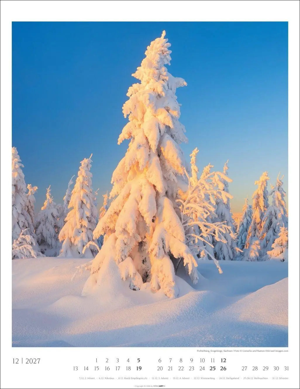 Bild: 9783839904312 | Heimische Wälder Kalender 2027 | Kalender | 14 S. | Deutsch | 2027