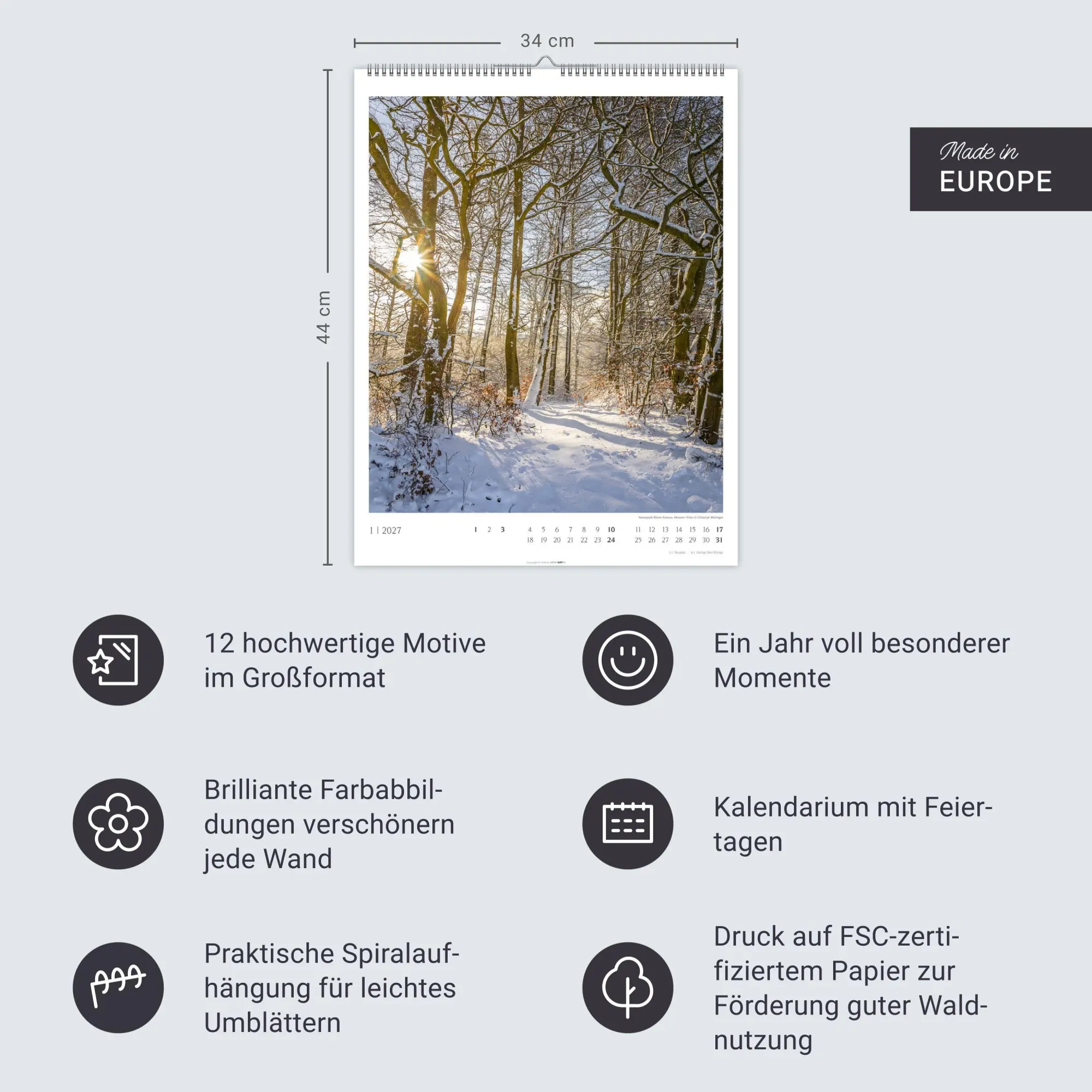 Bild: 9783839904312 | Heimische Wälder Kalender 2027 | Kalender | 14 S. | Deutsch | 2027