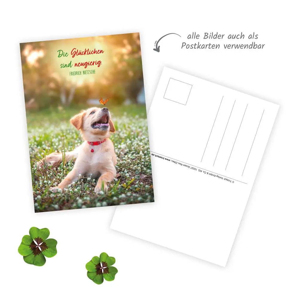 Bild: 9783988024312 | Trötsch Notizkalender Querformat Notizkalender Viel Glück 2026 mit...
