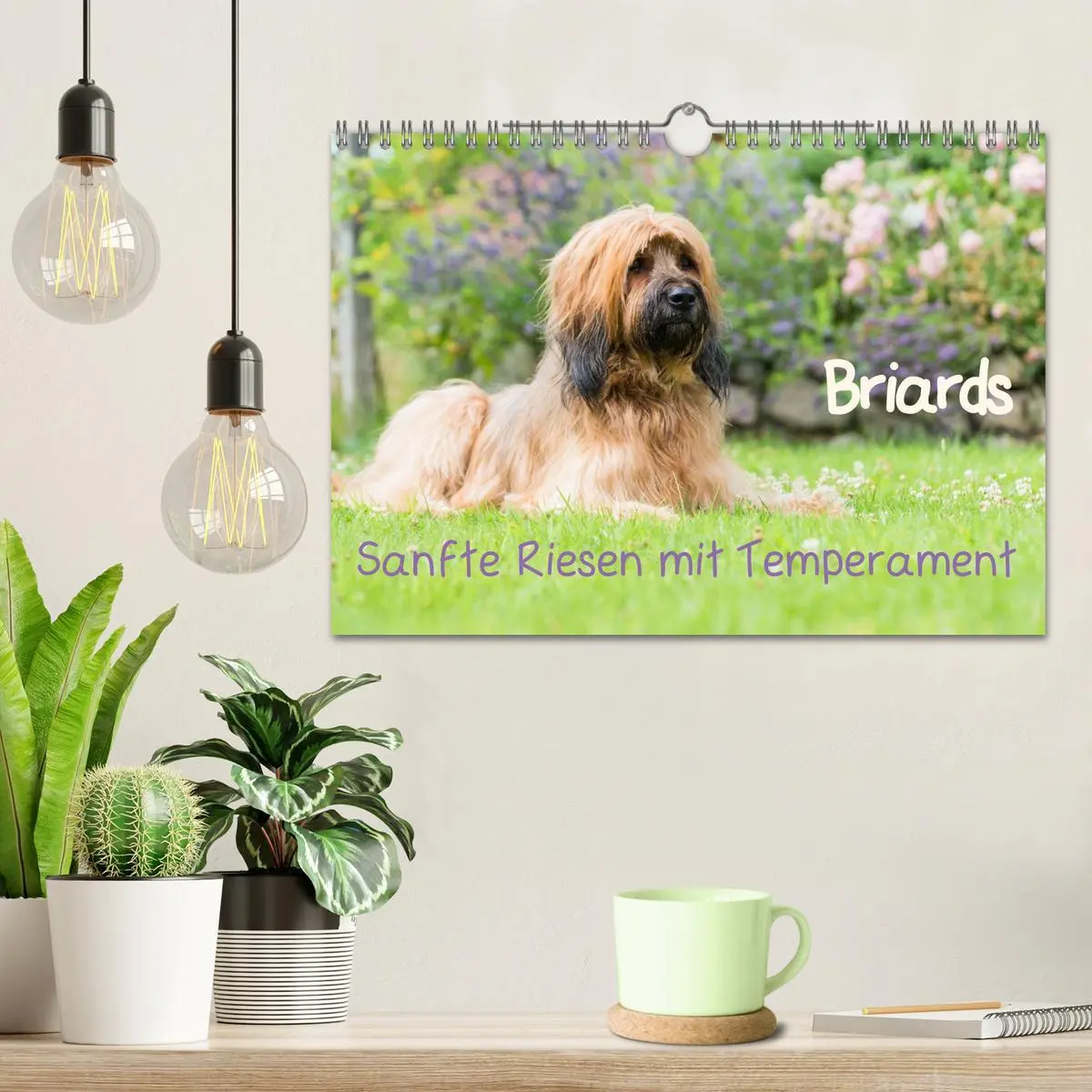 Bild: 9783516074512 | Briards - sanfte Riesen mit Temperament (Wandkalender 2026 DIN A4...