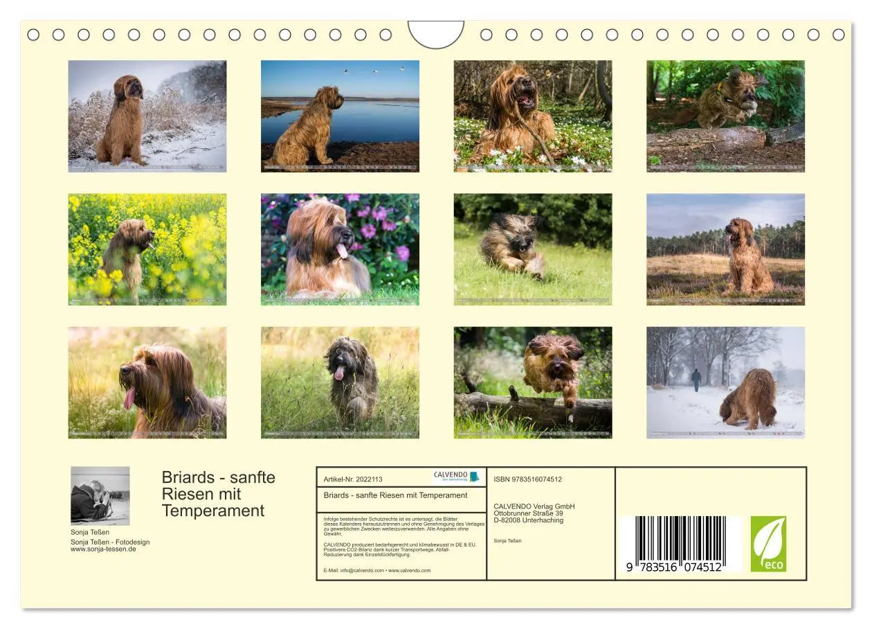 Bild: 9783516074512 | Briards - sanfte Riesen mit Temperament (Wandkalender 2026 DIN A4...
