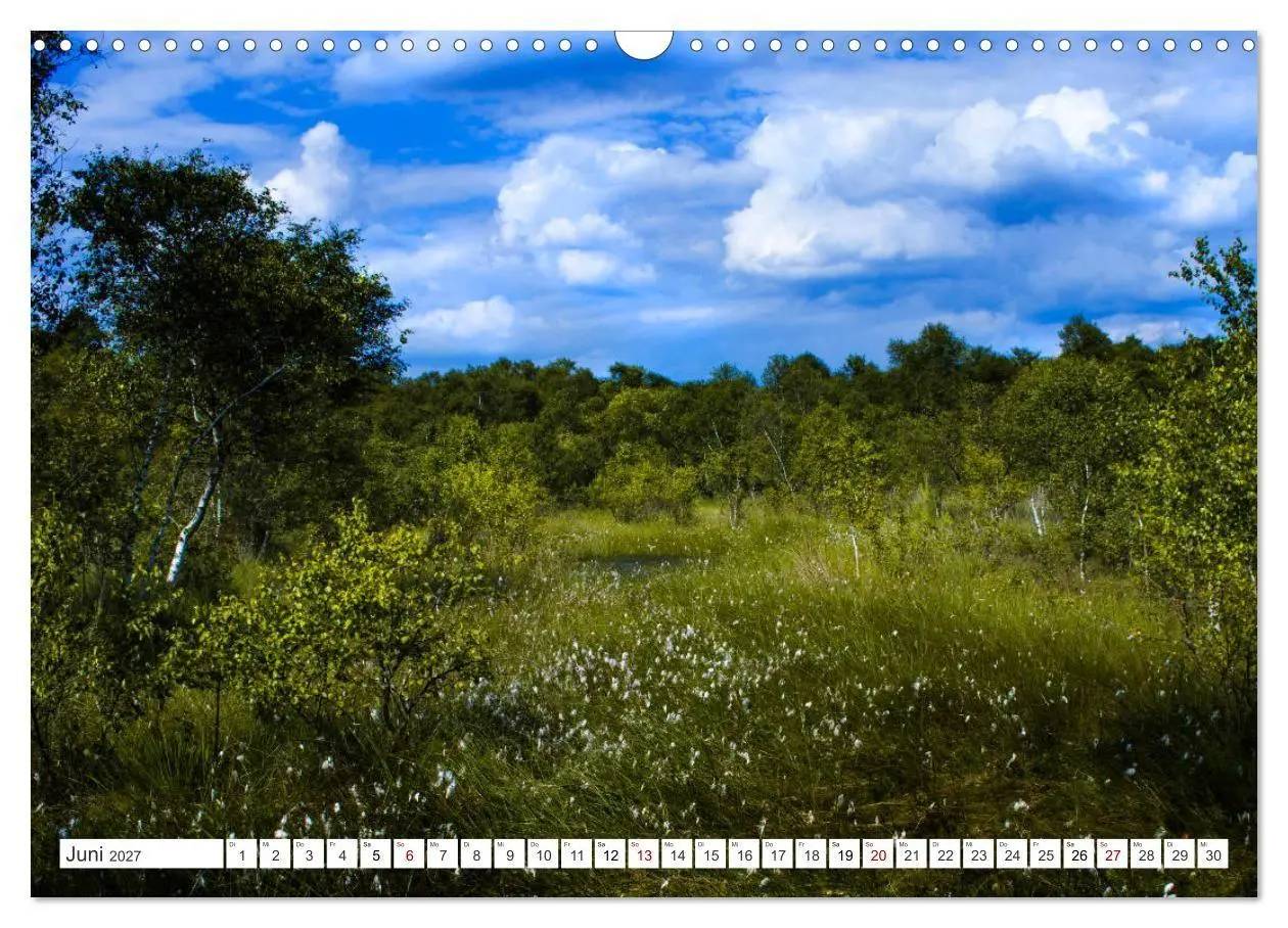 Bild: 9783569844612 | Osterholz-Scharmbeck, Natur-Impressionen aus dem Teufelsmoor...