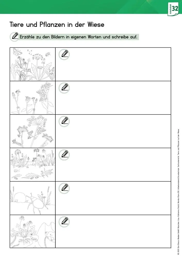 Bild: 9783769824612 | Arbeitsmaterial Grundschule. Sachunterricht: Tiere und Pflanzen in...