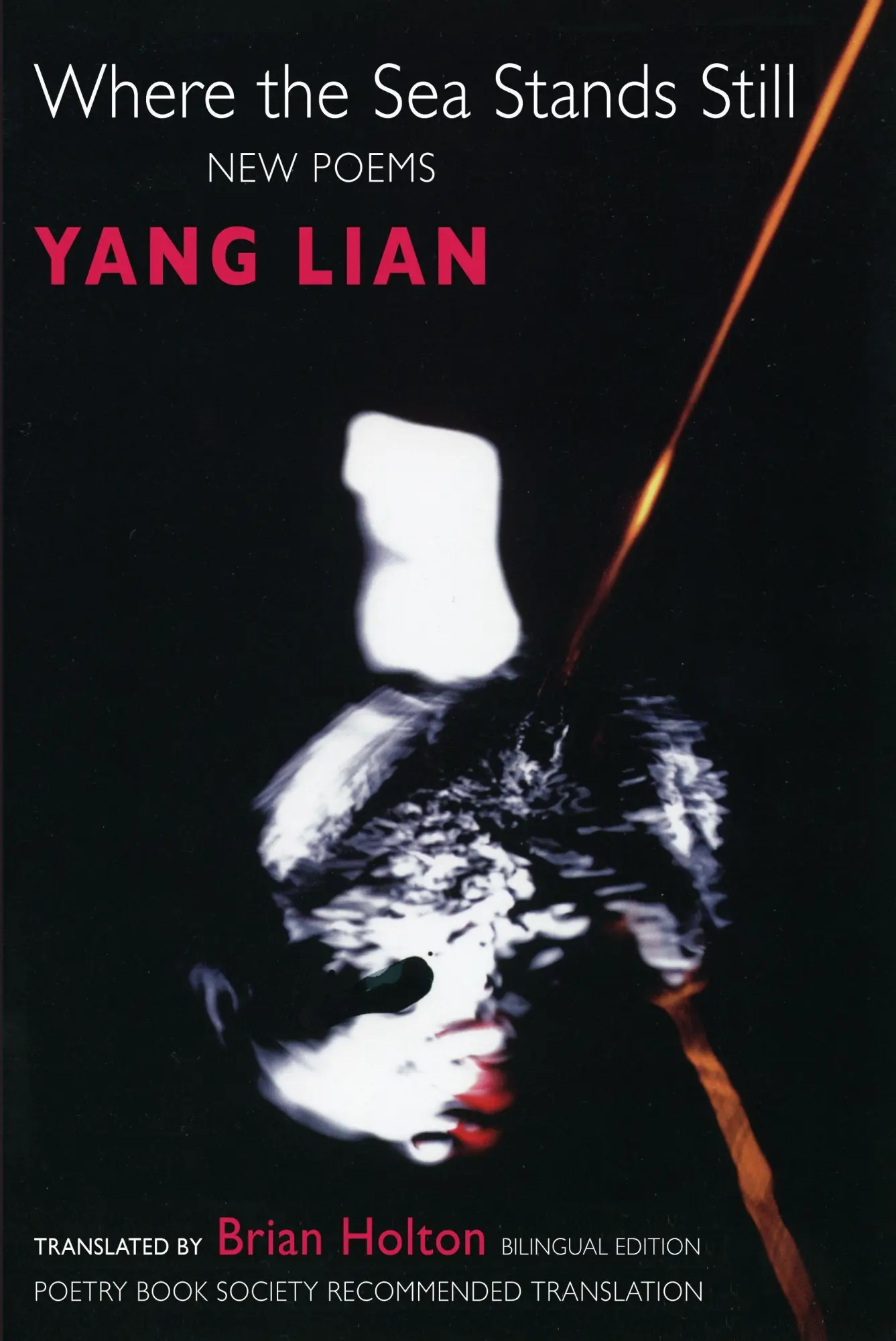Cover: 9781852244712 | Where the Sea Stands Still | Yang Lian | Taschenbuch | Englisch | 1999