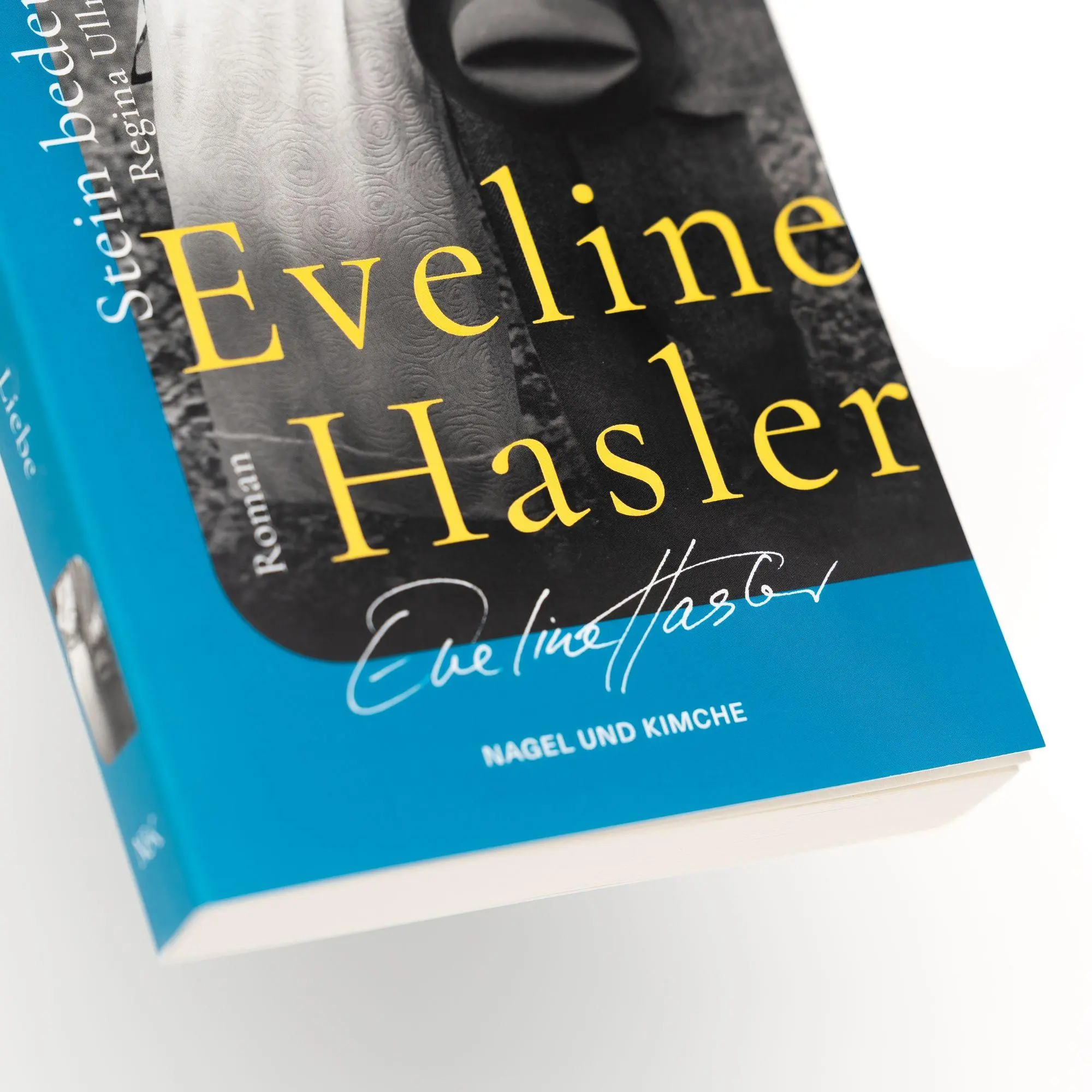 Bild: 9783312014712 | Stein bedeutet Liebe | Eveline Hasler | Taschenbuch | 224 S. | Deutsch