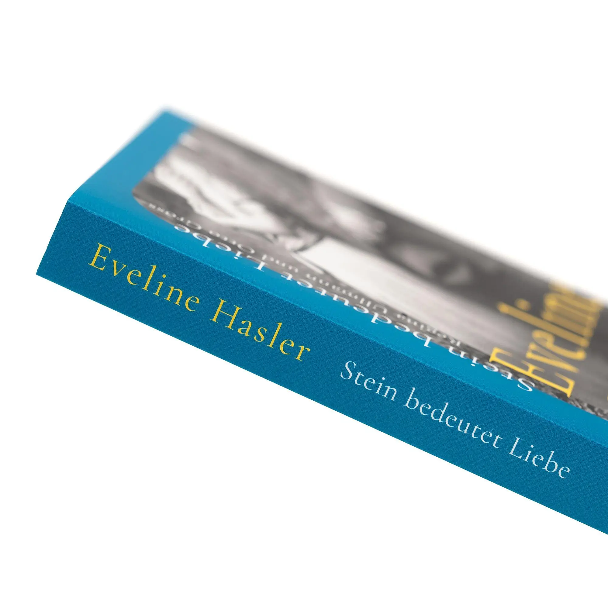 Bild: 9783312014712 | Stein bedeutet Liebe | Eveline Hasler | Taschenbuch | 224 S. | Deutsch