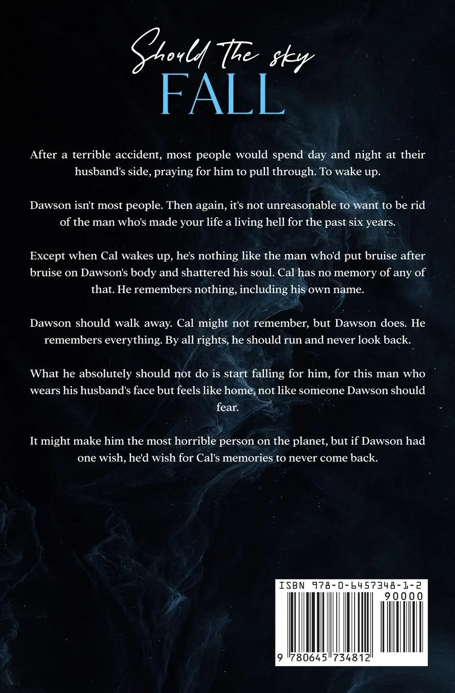Rückseite: 9780645734812 | Should the Sky Fall | MM Romance | Amithia Raine | Taschenbuch | 2023