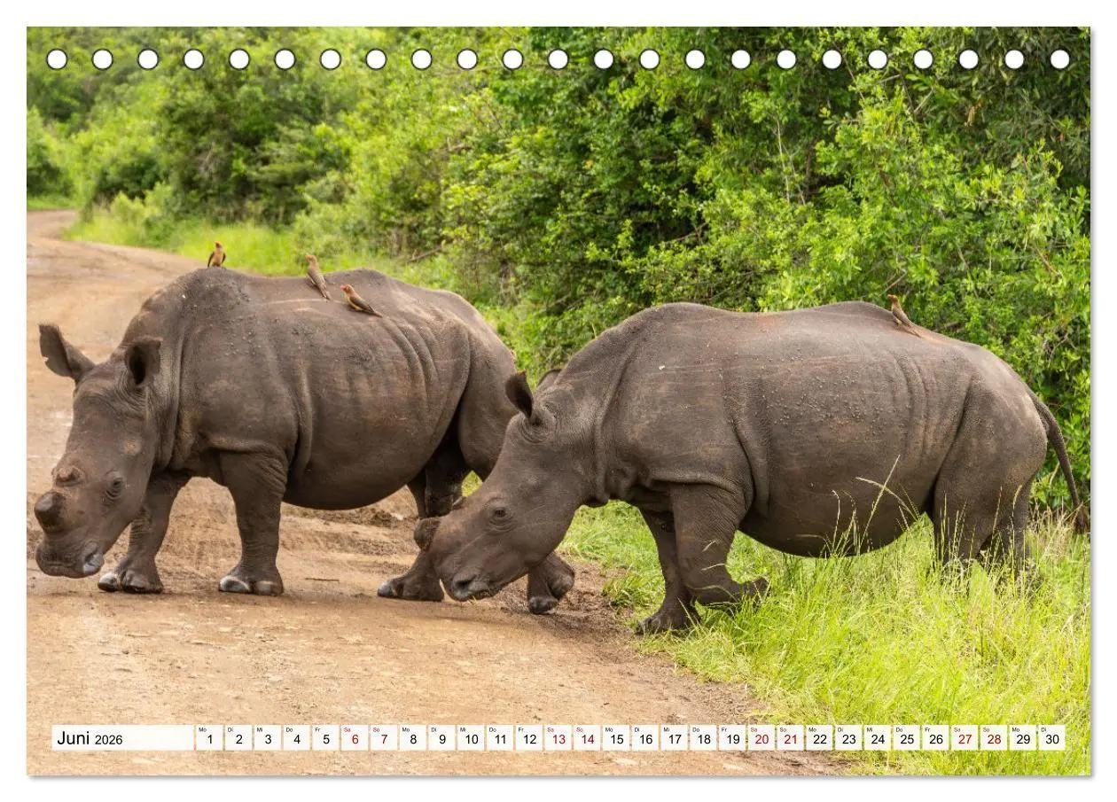 Bild: 9783457264812 | Südafrika - Landschaft voller Vielfalt und Schönheit (Tischkalender...
