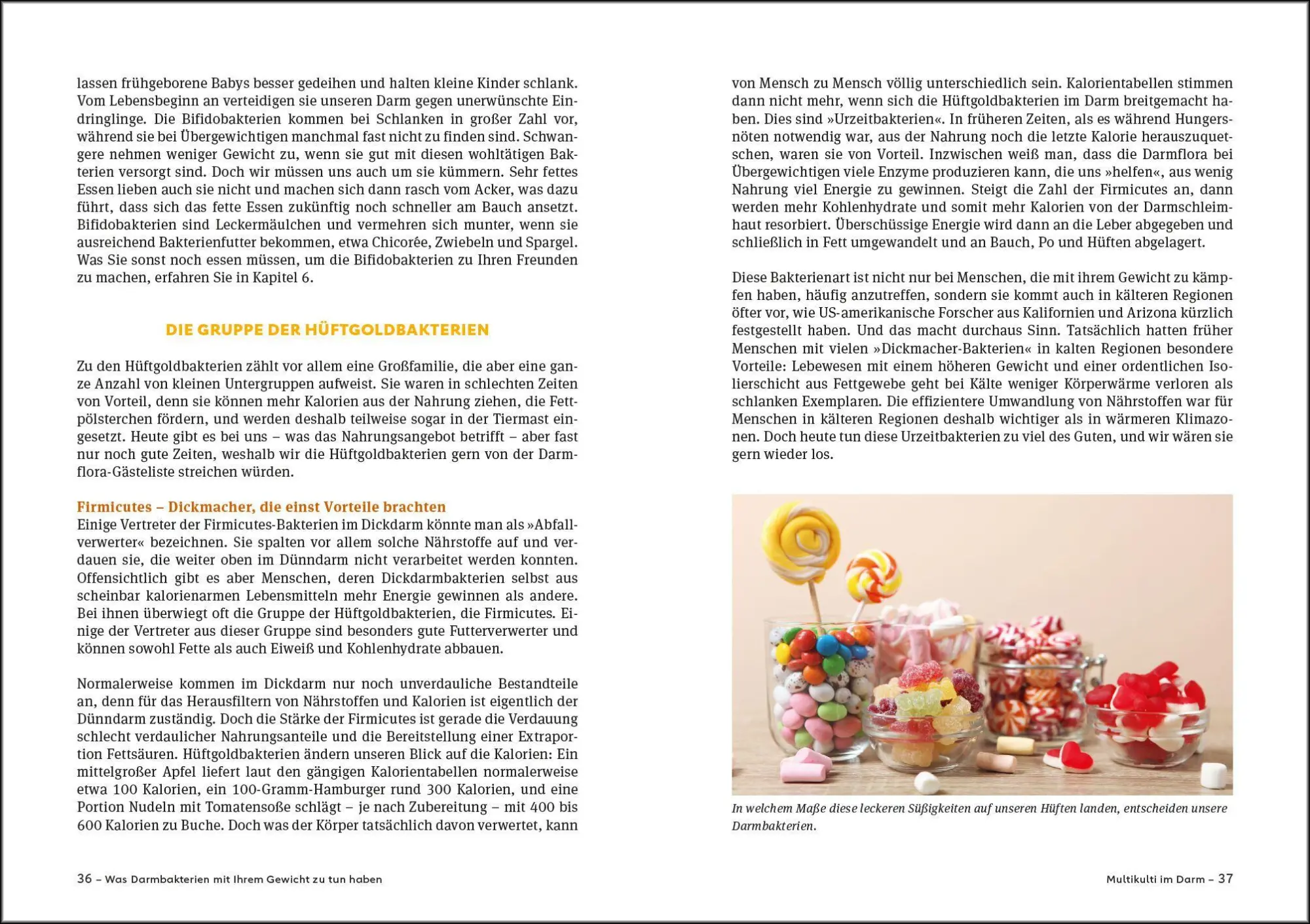 Bild: 9783517104812 | Schlank mit Darm - Die Darm-Diät - Aktualisierte Neuausgabe | Buch