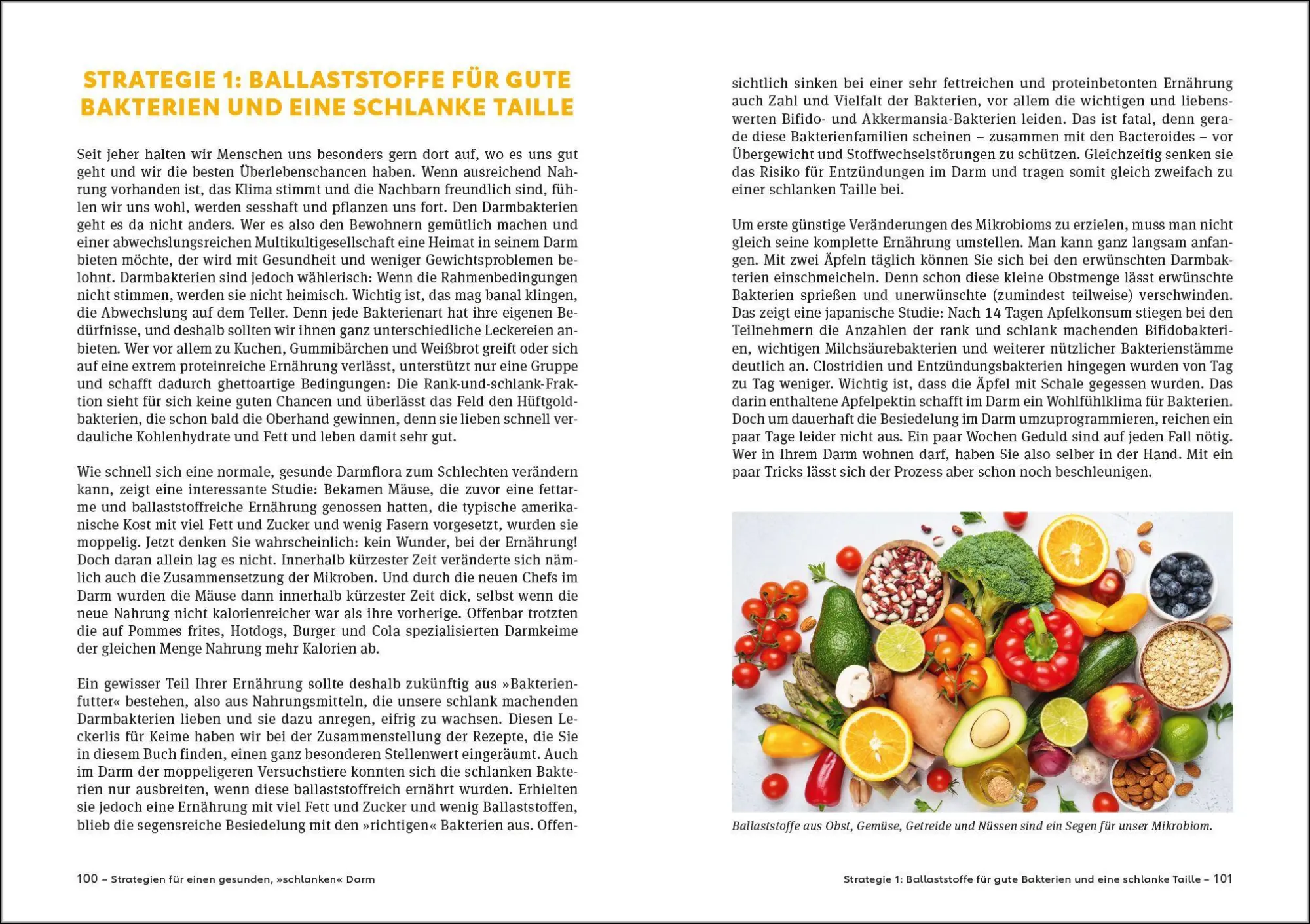 Bild: 9783517104812 | Schlank mit Darm - Die Darm-Diät - Aktualisierte Neuausgabe | Buch