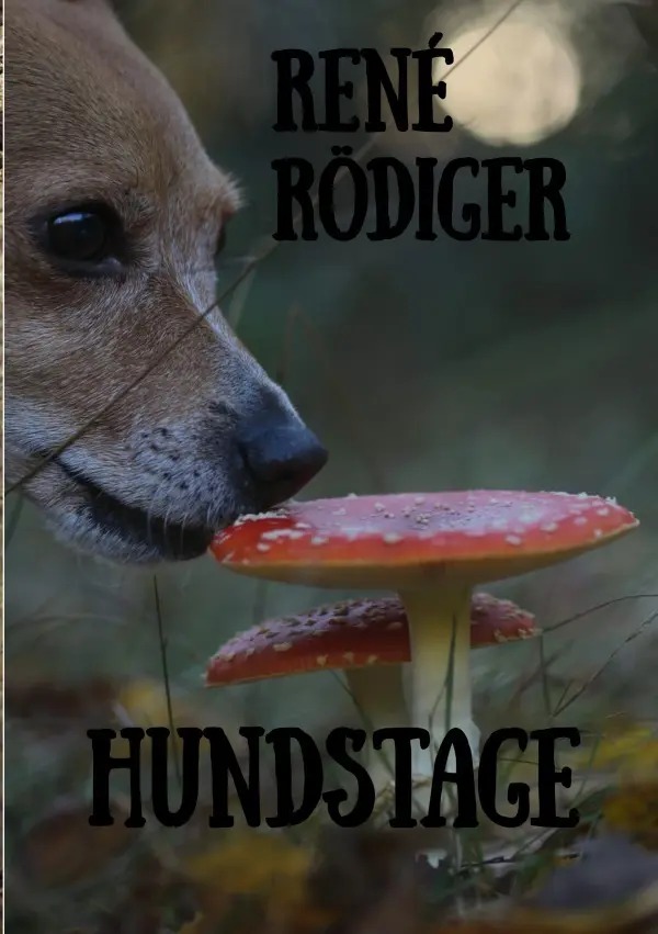 Cover: 9783756554812 | Hundstage | Der Zauber des Sirius. DE | René Rödiger | Taschenbuch
