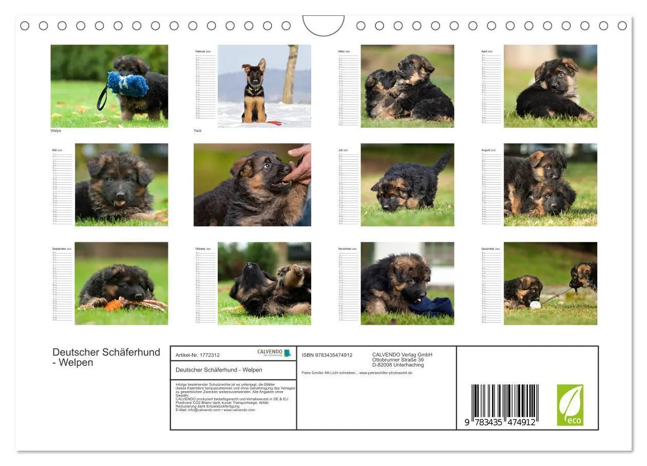 Bild: 9783435474912 | Deutscher Schäferhund - Welpen (Wandkalender 2025 DIN A4 quer),...