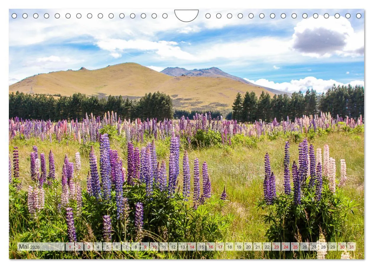 Bild: 9783457564912 | Faszination Neuseeland (Wandkalender 2026 DIN A4 quer), CALVENDO...