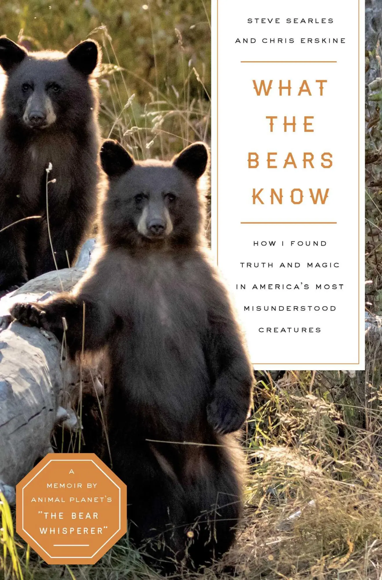 Cover: 9781639365012 | What the Bears Know | Chris Erskine (u. a.) | Buch | Gebunden | 2023