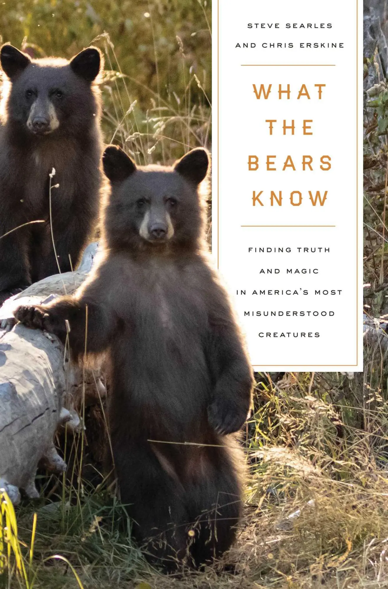 Bild: 9781639365012 | What the Bears Know | Chris Erskine (u. a.) | Buch | Gebunden | 2023