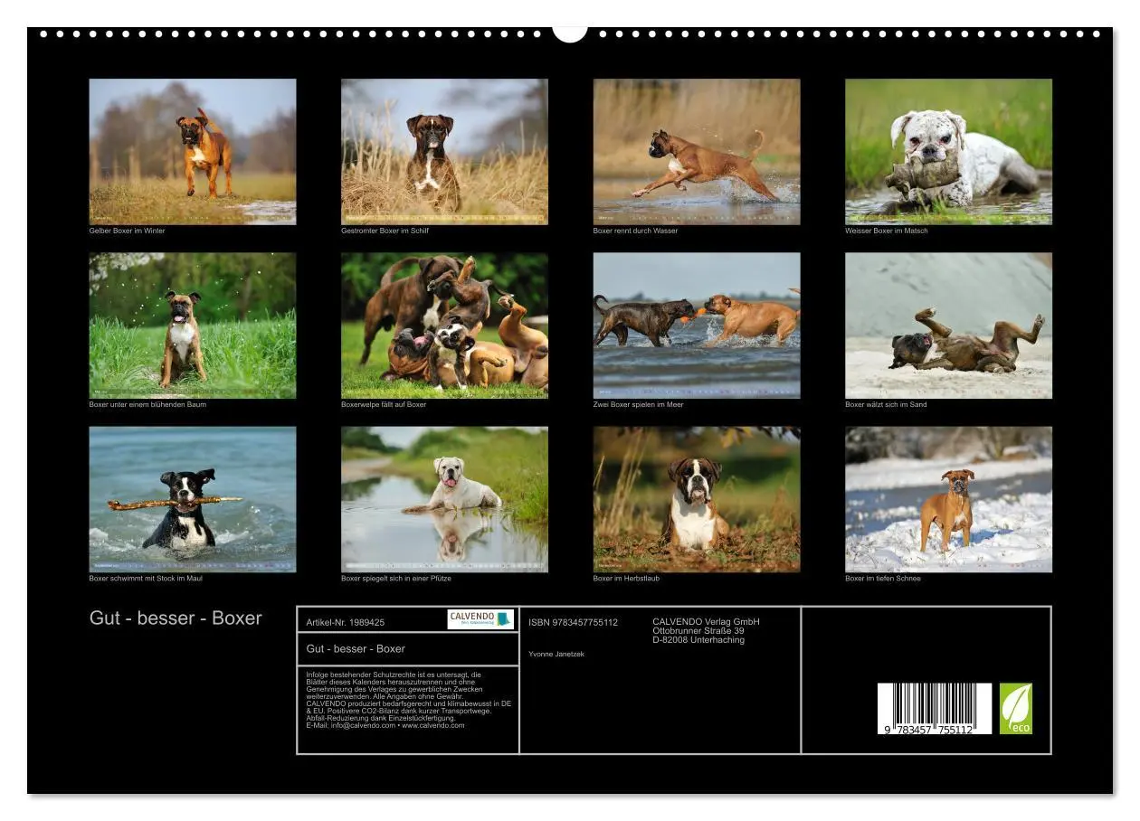 Bild: 9783457755112 | Gut - besser - Boxer (hochwertiger Premium Wandkalender 2026 DIN A2...