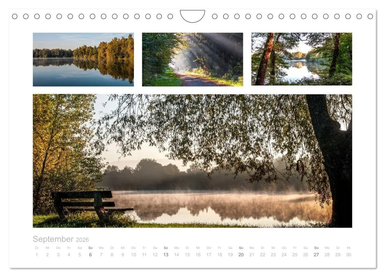 Bild: 9783516155112 | Die nördliche Ortenau (Wandkalender 2026 DIN A4 quer), CALVENDO...