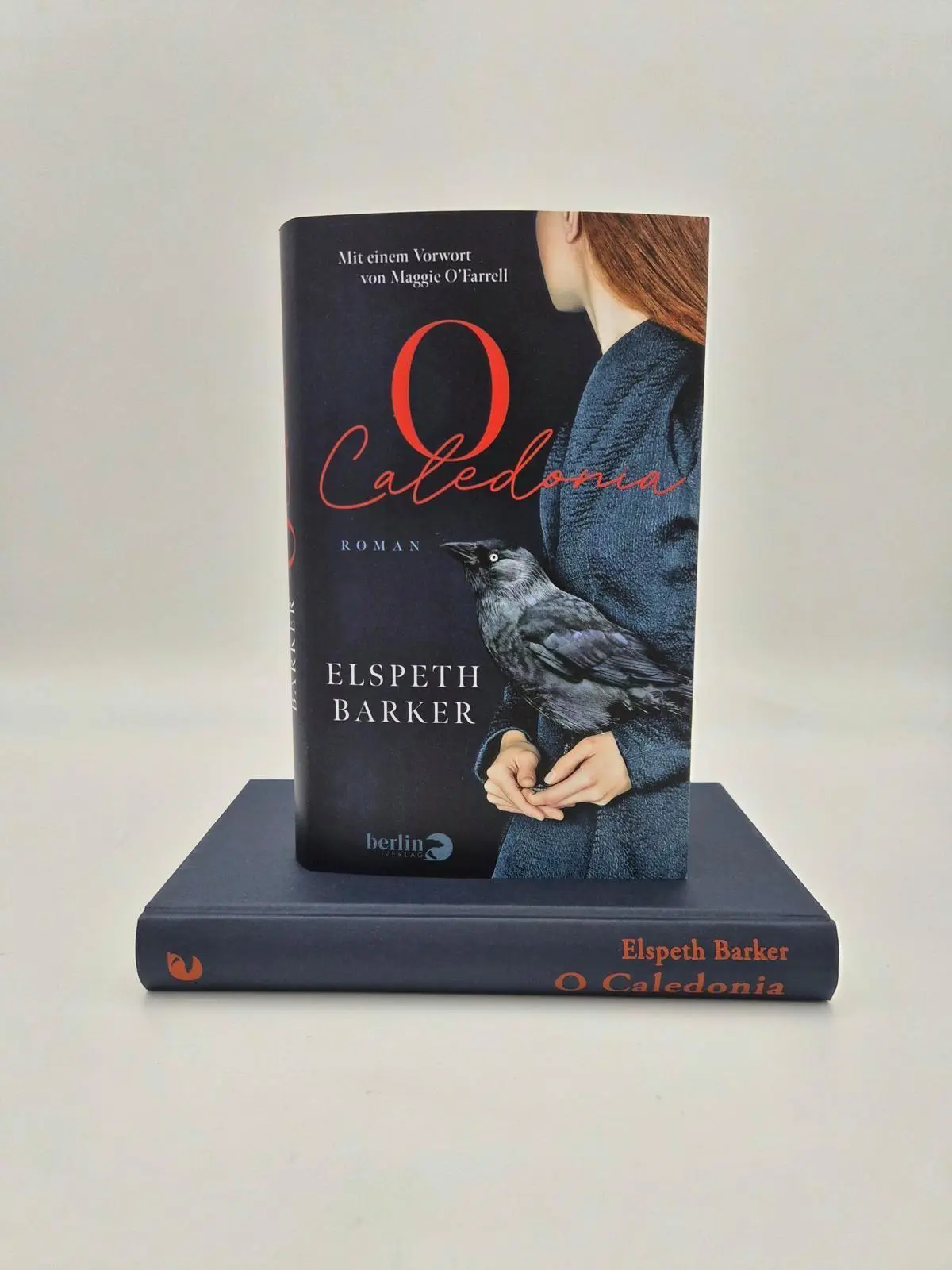 Bild: 9783827015112 | O Caledonia | Elspeth Barker | Buch | 240 S. | Deutsch | 2026