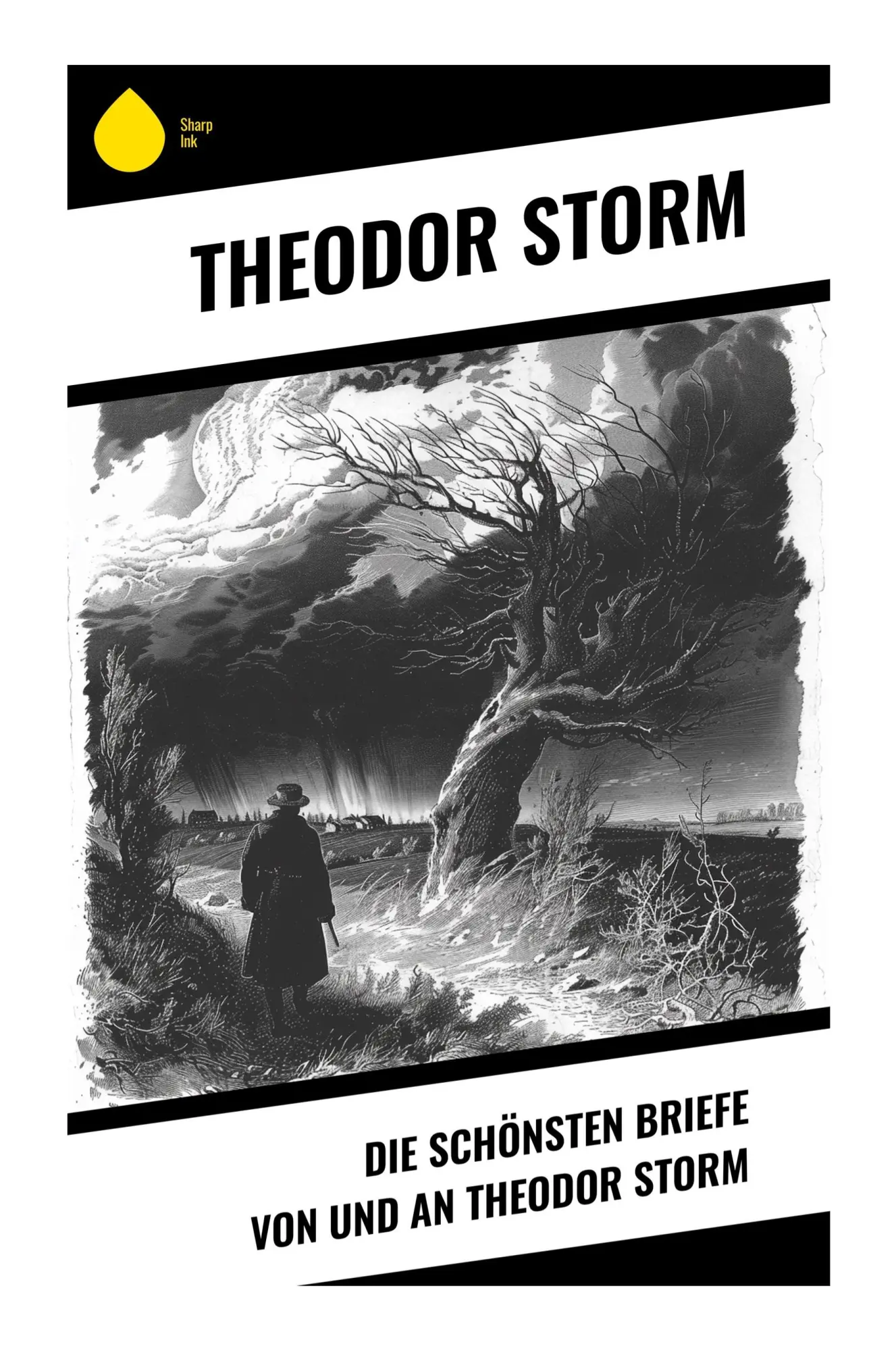 Cover: 9788028345112 | Die schönsten Briefe von und an Theodor Storm | Theodor Storm | Buch