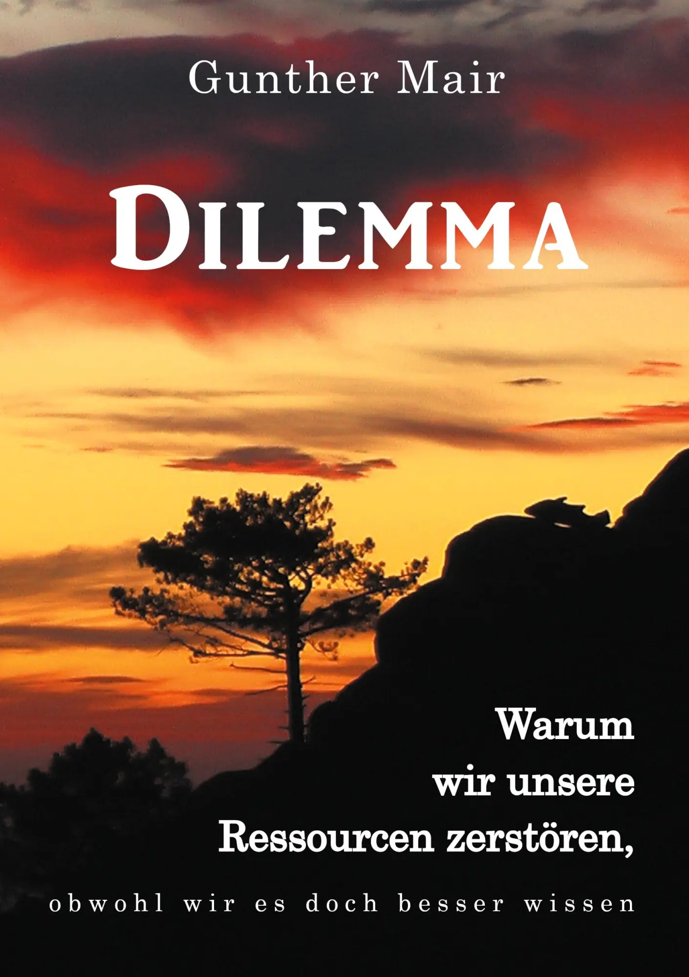 Cover: 9783347305212 | Dilemma | Gunther Mair | Taschenbuch | Paperback | 248 S. | Deutsch