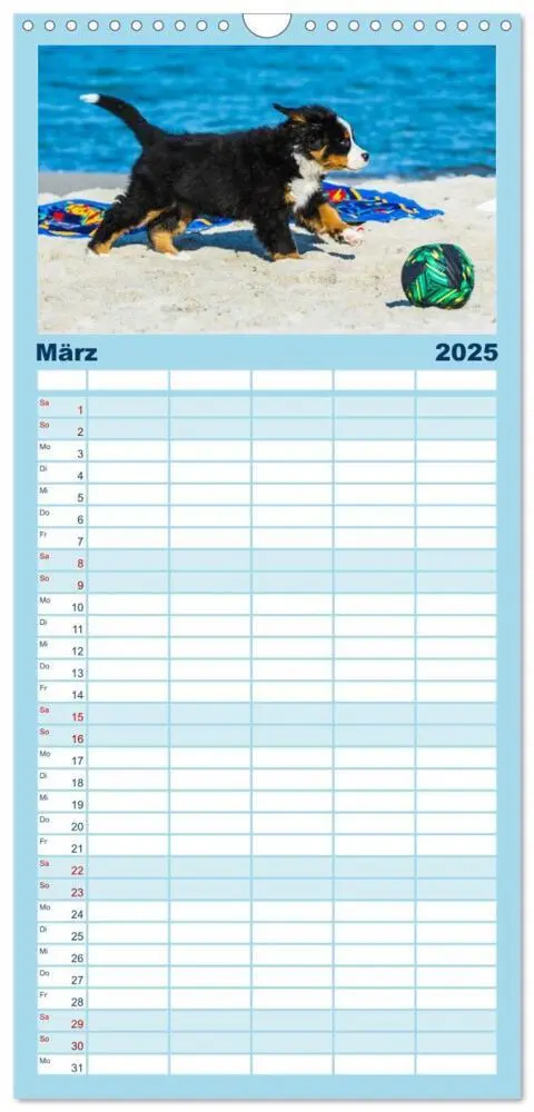 Bild: 9783457125212 | Familienplaner 2025 - Seebärchen entdecken die Welt - Berner...