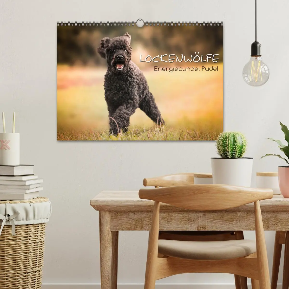 Bild: 9783457815212 | Lockenwölfe - Energiebündel Pudel (Wandkalender 2026 DIN A3 quer),...