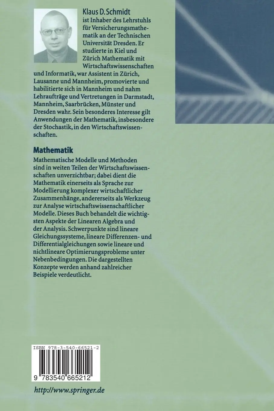 Rückseite: 9783540665212 | Mathematik | Grundlagen für Wirtschaftswissenschaftler | Schmidt | xii