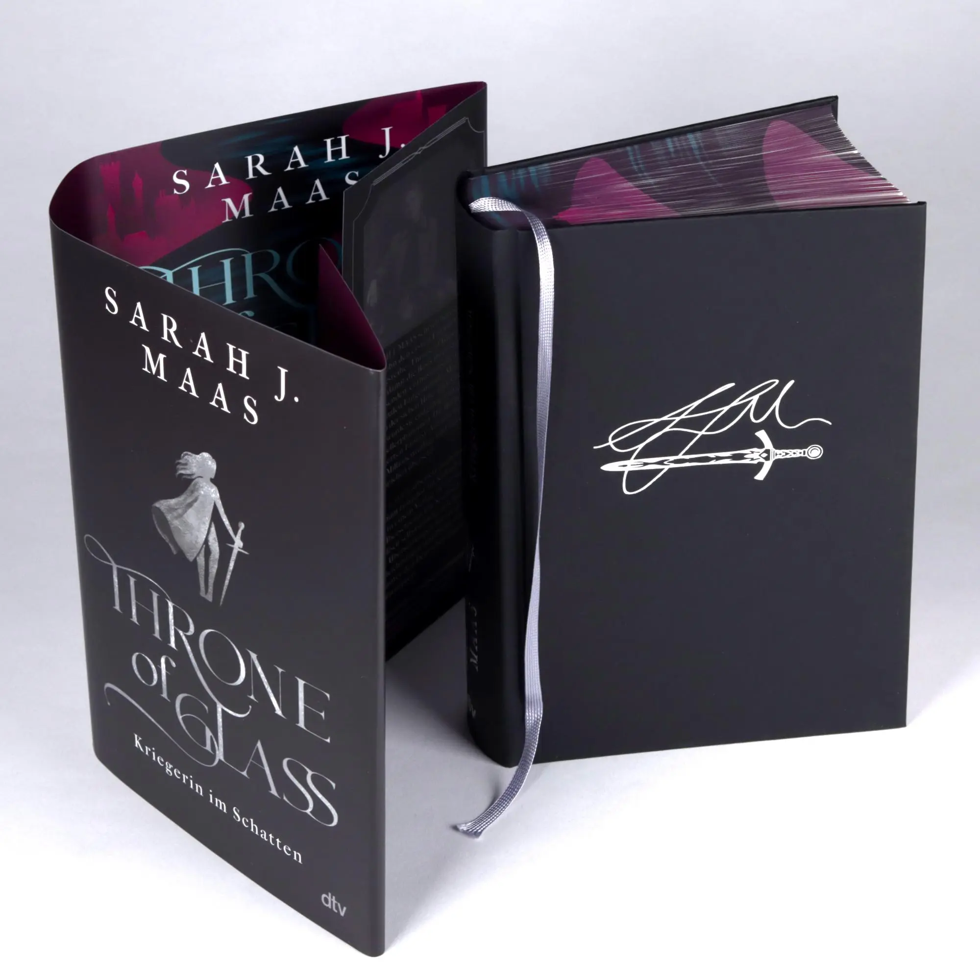 Bild: 9783423765312 | Throne of Glass - Kriegerin im Schatten | Sarah J. Maas | Buch | 2025