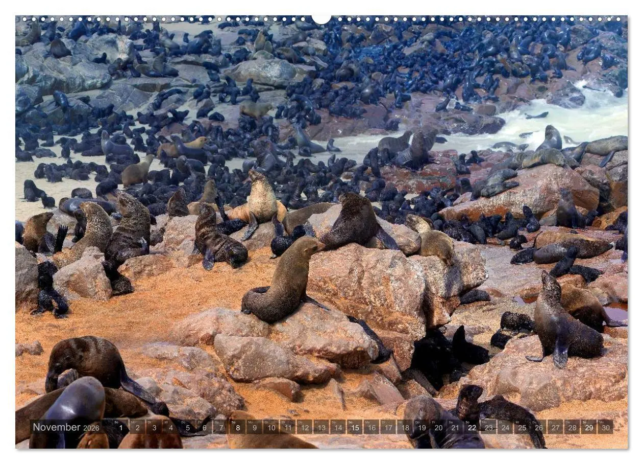 Bild: 9783516135312 | Namibia - Die Tierwelt (hochwertiger Premium Wandkalender 2026 DIN...