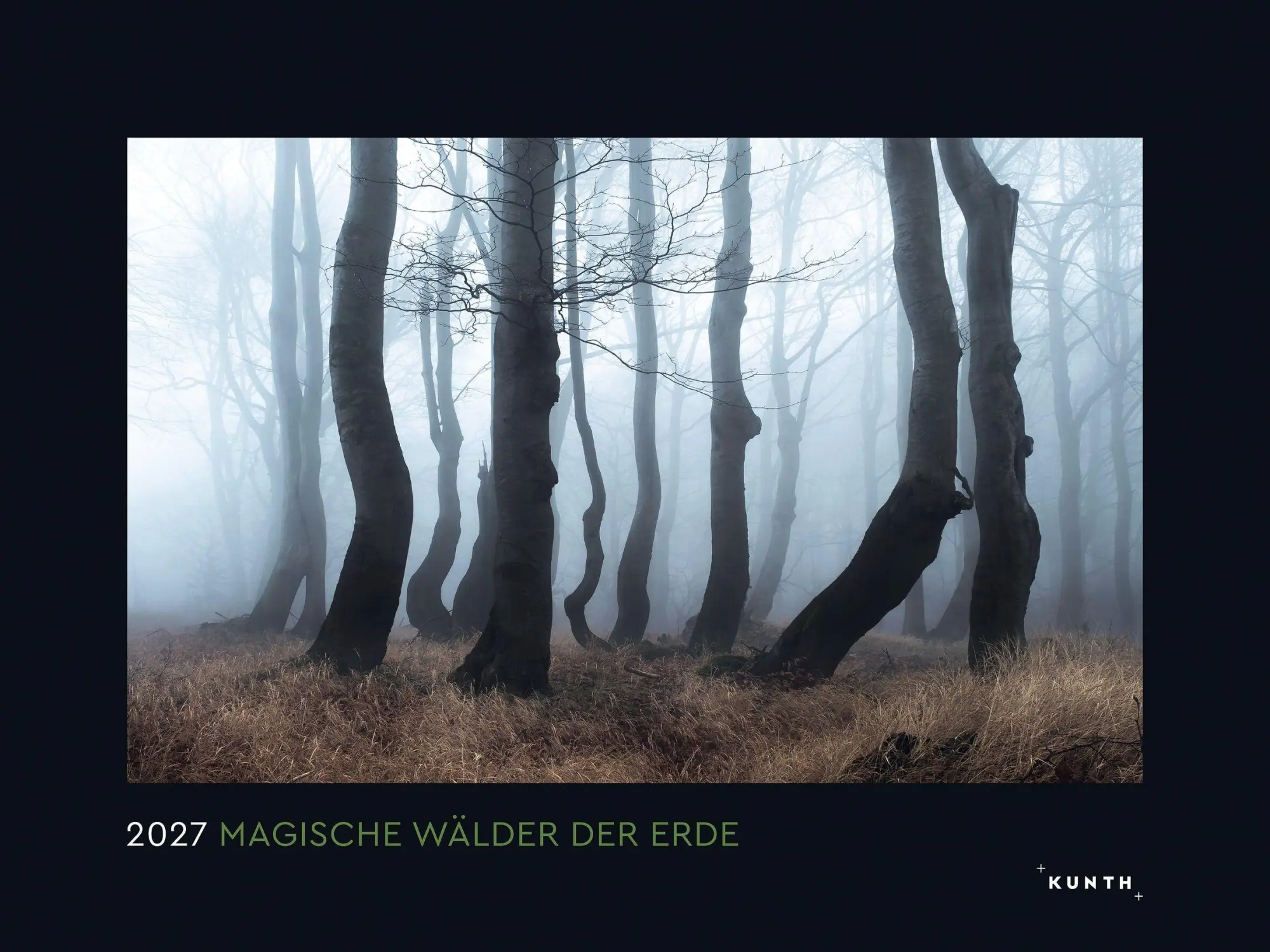 Cover: 9783965915312 | Magische Wälder der Erde - KUNTH Wandkalender 2027 | Kalender | 14 S.
