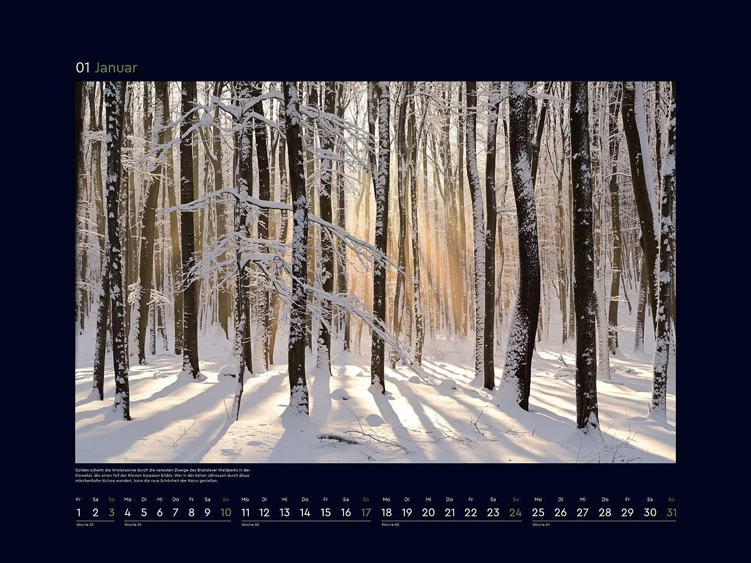 Bild: 9783965915312 | Magische Wälder der Erde - KUNTH Wandkalender 2027 | Kalender | 14 S.