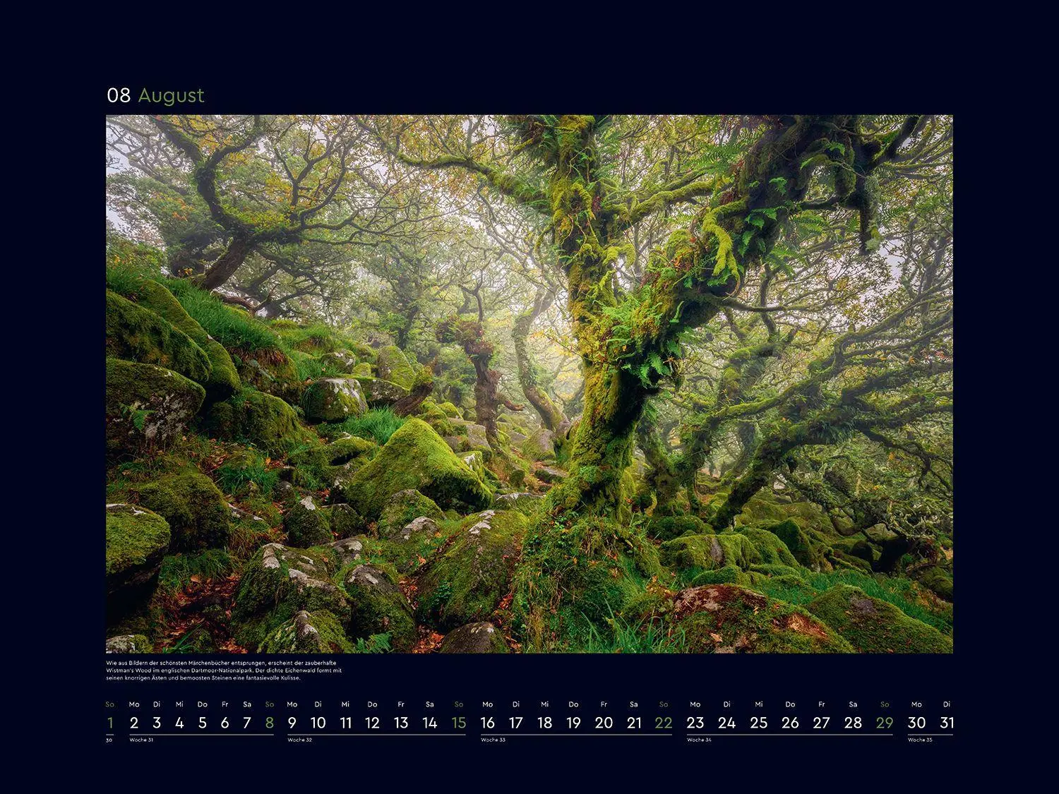 Bild: 9783965915312 | Magische Wälder der Erde - KUNTH Wandkalender 2027 | Kalender | 14 S.
